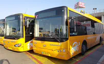 צילום: המשרד להגנת הסביבה המדינה תסבסד רכישת אוטובוסים חשמליים
