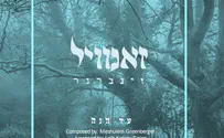 זאנוויל הכין מתנה לחתונה: 'עד הנה'