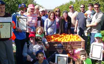 A unique form of charity in the grapefruit orchard