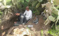 Arabs caught looting archaeological site