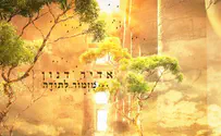 מזמור לתודה - סינגל חמישי לאדיר דנון
