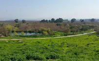 טיול לעין אפק, חיבור בין החורף לאביב
