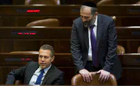 הפעיל הפרו-פלסטיני נשאר בנתב"ג