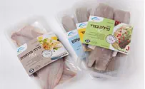 הדגים הטריים חוזרים לסופרמרקטים