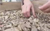 'Temple Mount artifact sifting project in danger'