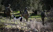 היערכות שיא בצה"ל לאבטחת אירועי פסח
