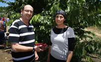 המשימה החדשה של בת גלים שער