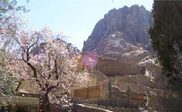 Policeman killed in attack near Sinai monastery