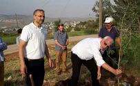 אחדות עם הבית היהודי תביא ברכה לכולם