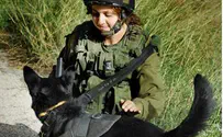הכלבנית המצטיינת שתקבל אות הצטיינות מהנשיא