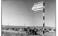 החלום שלא התגשם-ביקורת תערוכה