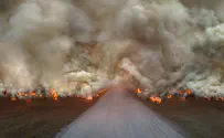 'Burn me alive': A journalist's dilemma