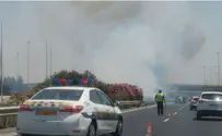 שריפת קוצים סמוך לכביש 1