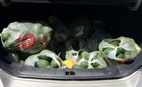 צילום: דוברות משטרת ישראל חשד: גנב פירות וירקות ומכר לירקנים