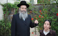 יוצרים שיח חדש           