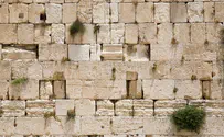 י"ז בתמוז: לנהוג האחד בשני בכבוד