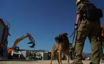 תרגיל העורף הלאומי בעיניים של צה"ל
