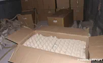 The plan: Smuggle 9000 eggs over the fence