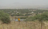 גבול הצפון - האינטרסים משחקים תפקיד