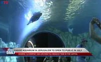 Huge aquarium to open in Jerusalem