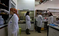 נמצא הגורם למחלות אוטואימוניות