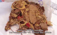 Archaeological discovery sheds light on biblical textiles 