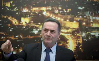 המבחן של השר ישראל כץ לגבאי ולפיד