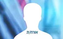 רקפות בין הסלעים
