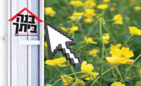 בנה ביתך - מוסף הנדלן של בשבע