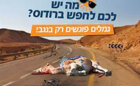 מנכ"ל רשות הבדואים נגד תנועת "רגבים"