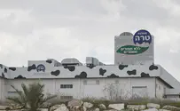 איך השפיעה הכשרות על "קרבות החלב"?