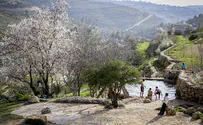 Live fire zones to be opened for Hanukkah visitors