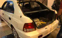 A surprise in the trunk