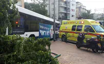 צילום: מד"א נס ברמת גן: אוטובוס התנגש בבית קפה