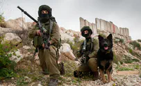 Why does IDF K-9 unit train in Ramle Market?