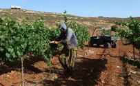 Bennett’s voters face Bennett’s diplomacy