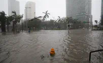 Irma knocks out power across Florida as Tampa Bay battered