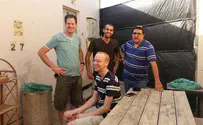 תפוח, דבש ומדי ב'       