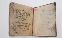 Passover Guide for the Perplexed 2020