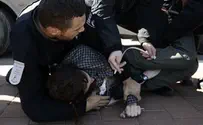 "שוטרים תקפו צעיר בשומרון"