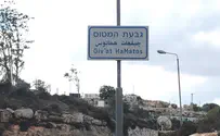 המכרזים בגבעת המטוס יוצאים לדרך