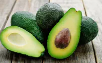 ממטע האבוקדו - לכלא    