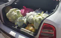 Arabs arrested for agricultural theft - again