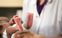 פונדקאות: ההיצע הולך ומצטמצם