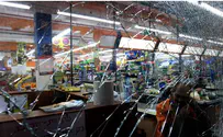 Hebrew U research reveals intricate beauty of cracked glass