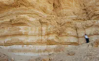 המקום ינחם גם אותנו, המורים השכולים