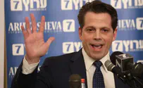 Watch baby Scaramucci make shambles live on Alex Witt⁩’s show 