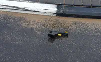 Patient steals gun, escapes hospital