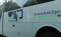 'Haredi-pig' sign on Israeli bus draws criticism