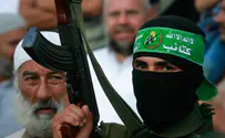 EU must be 'proactive and preventive' in fight against terror